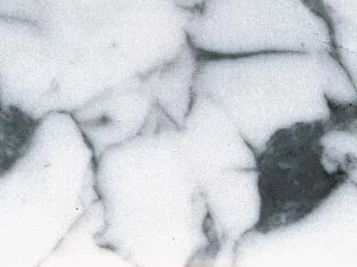 Arabescato Corchia – Marble