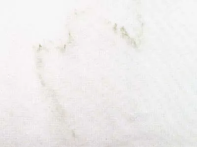Bianco Arni – Marble