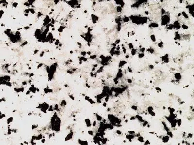 Blanco Berrocal – Granite