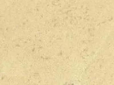 Cadeby – Limestone