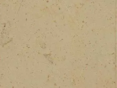 Comblanchien – Limestone