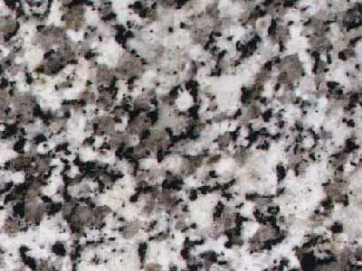 Grissal