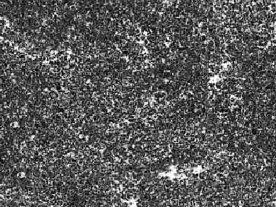 Jet Mist – Granite
