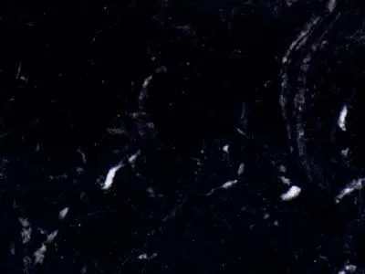 Negro Marquina – Limestone