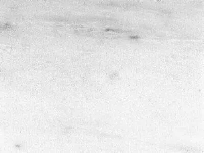 Nestos White – Marble