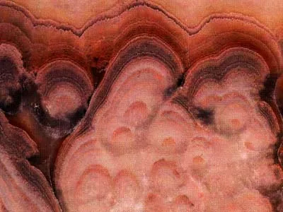 Onix Piña – Sandstone
