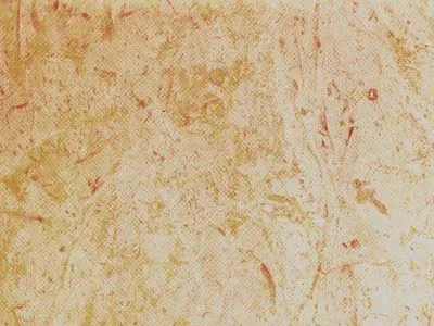 Perlato Svevo 2