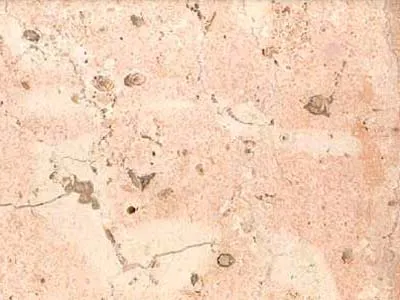 Rosa Coral – Marble