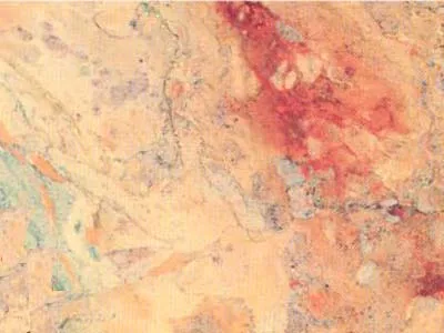 Sarrancolin – Marble