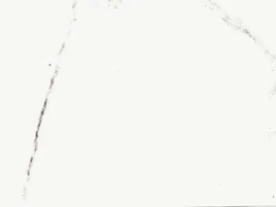 Statuario Venato – Marble