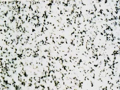 Storen – Granite